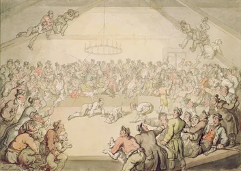 Der Hundekampf